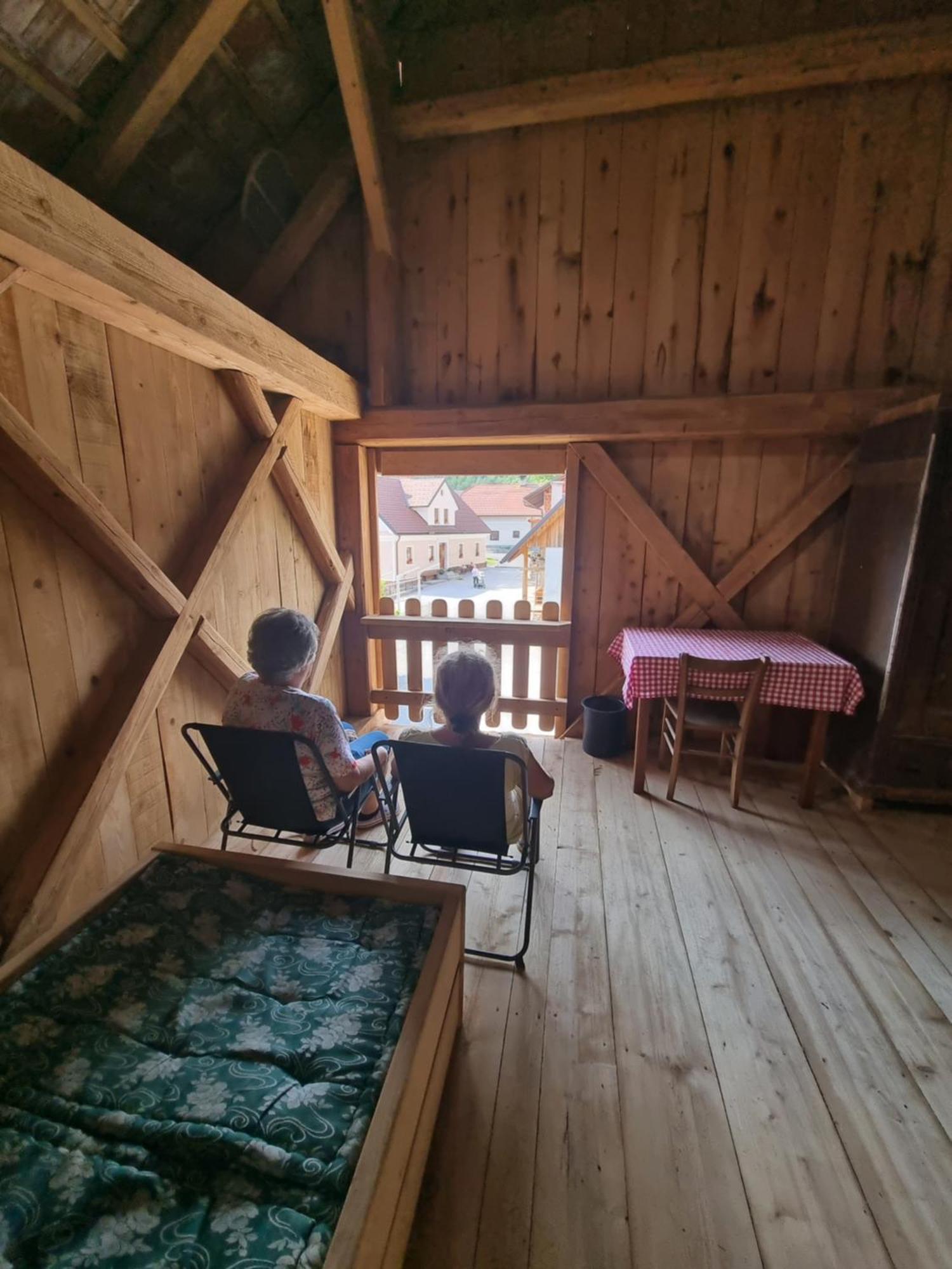 Notranjska Hisa - Traditional Country House, Close To The World Attraction Cerknica Lake Begunje pri Cerknici Zewnętrze zdjęcie